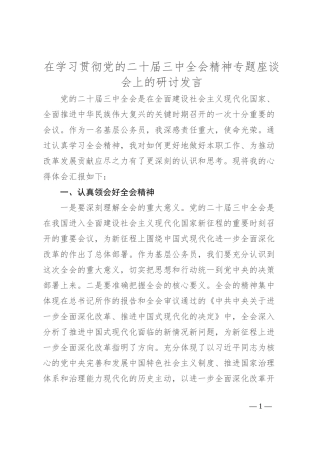 在学习贯彻党的二 十届三 中全会精神专题座谈会上的研讨发言