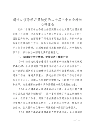 司法口领导学习贯彻党的二 十届三 中全会精神心得体会