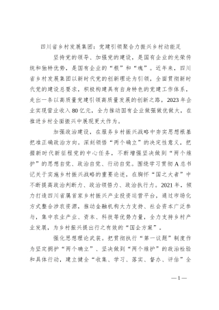 四川省乡村发展集团：党建引领聚合力振兴乡村动能足