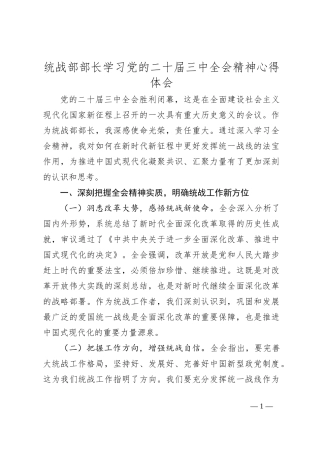 统战部部长学习党的二十届三中全会精神心得体会