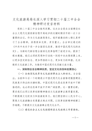文化旅游局局长深入学习贯彻二十届三中全会精神研讨发言材料