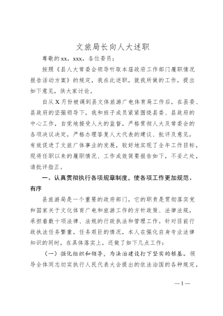 文旅局长向人大述职