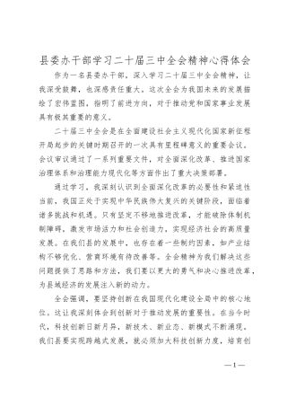 县委办干部学习二十届三中全会精神心得体会