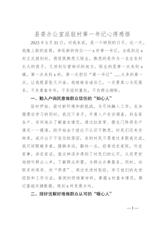 县委办公室派驻村第一书记心得感悟