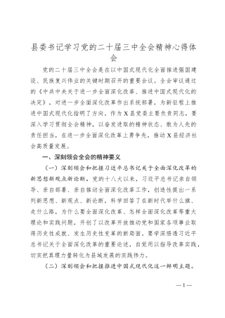 县委书记学习党的二十届三中全会精神心得体会
