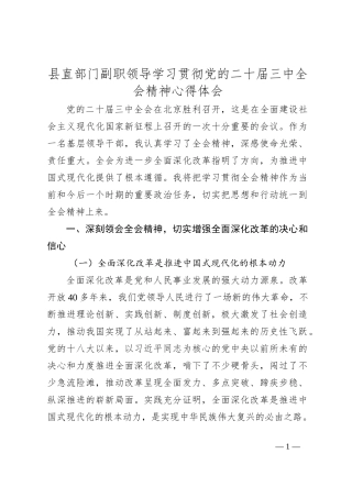 县直部门副职领导学习贯彻党的二 十届三 中全会精神心得体会