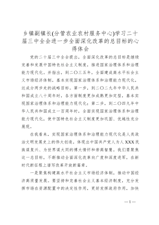 乡镇副镇长(分管农业农村服务中心)学习二 十届三 中全会进一步全面深化改革的总目标的心得体会