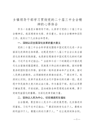 乡镇领导干部学习贯彻党的二 十届三 中全会精神的心得体会