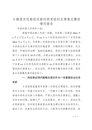 乡镇落实巡察组巡察村级党组织反馈意见整改情况报告