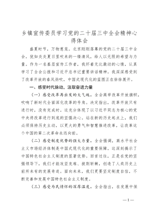 乡镇宣传委员学习党的二十届三中全会精神心得体会