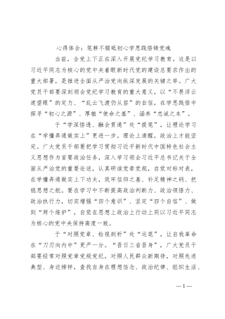 心得体会：笔耕不辍砥初心学思践悟铸党魂