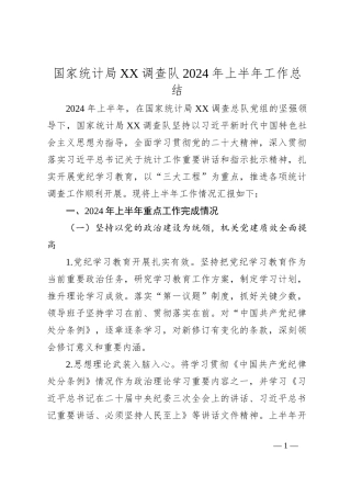 国家 统计局XX调查队2024年上半年工作总结