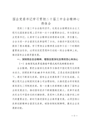国企党委书记学习贯彻二 十届三 中全会精神心得体会