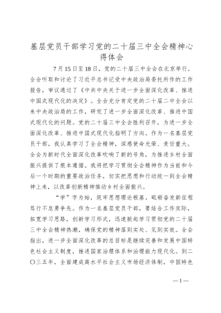基层党员干部学习党的二十届三中全会精神心得体会