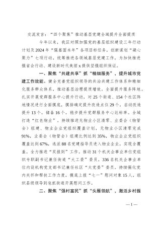 交流发言：“四个聚焦”推动基层党建全域提升全面提质