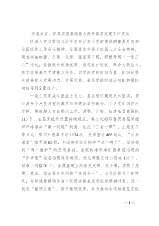 交流发言：抓落实强基础 着力提升基层党建工作质效