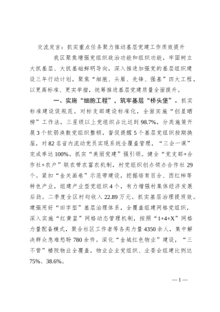 交流发言：抓实重点任务 聚力推动基层党建工作质效提升