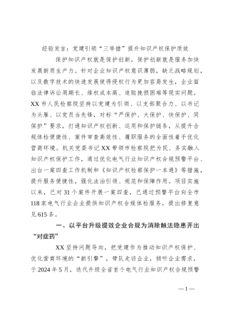 经验发言：党建引领“三举措”提升知识产权保护质效