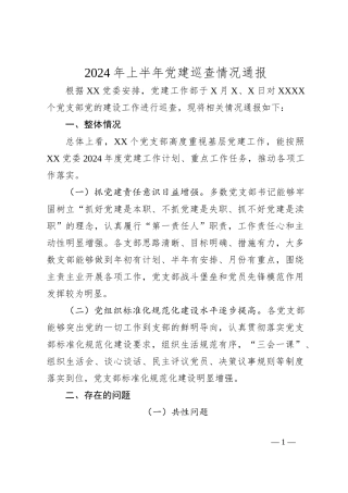 2024年上半年党建巡查情况通报