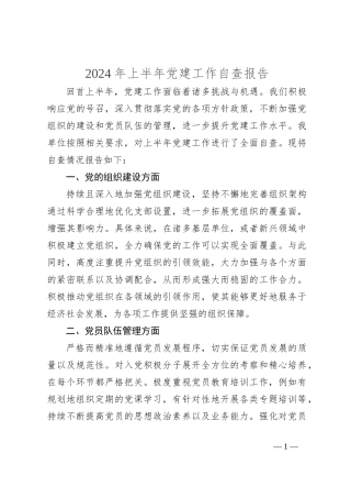 2024年上半年党建工作自查报告