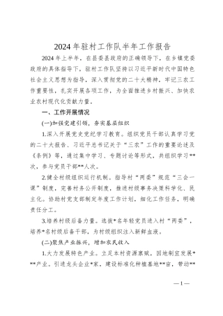 2024年驻村工作队半年工作报告