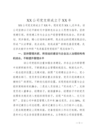 XX公司党支部成立于XX年