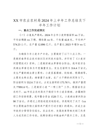 XX市农业农村局2024年上半年工作总结及下半年工作计划