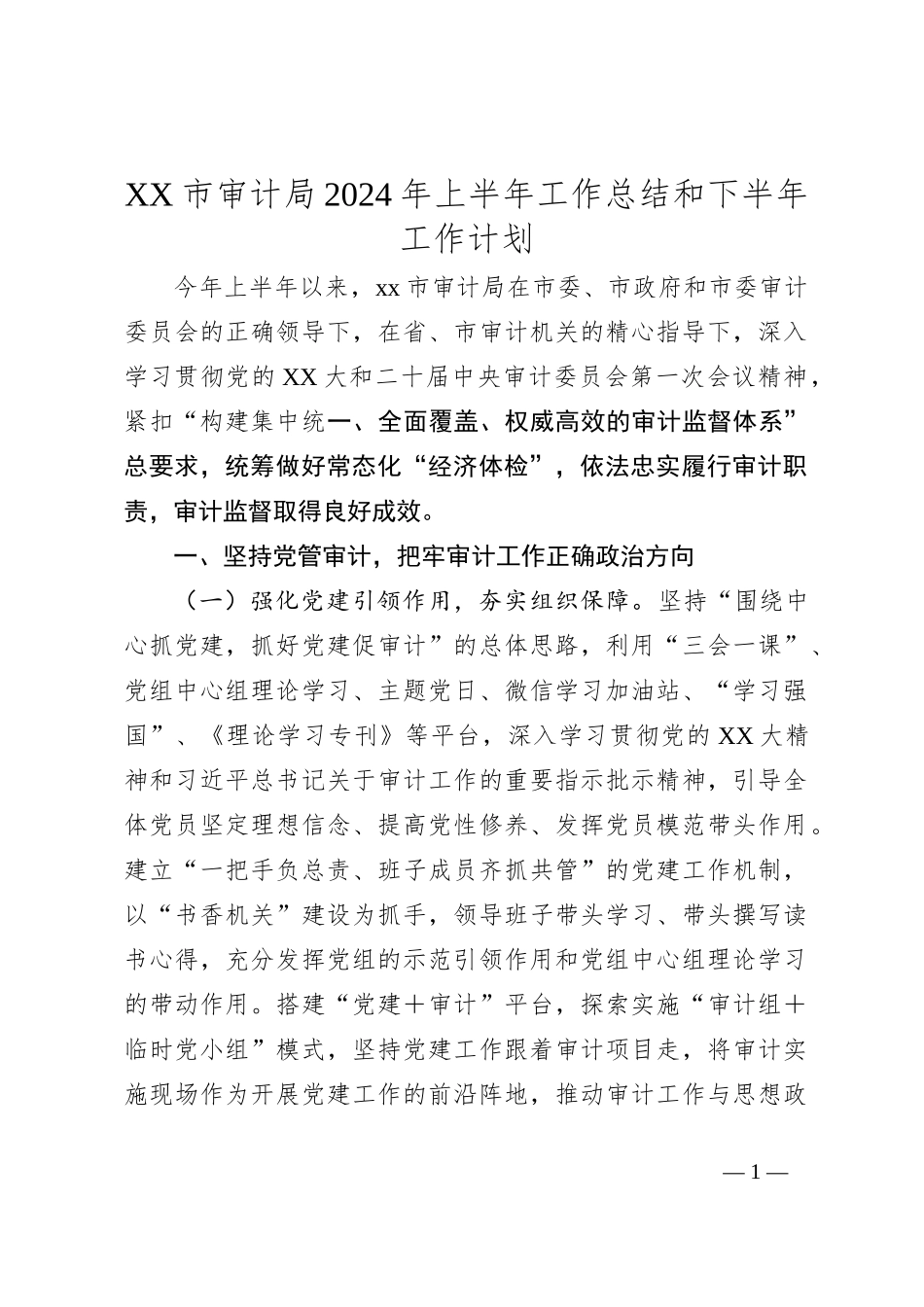 XX市审计局2024年上半年工作总结和下半年工作计划_第1页