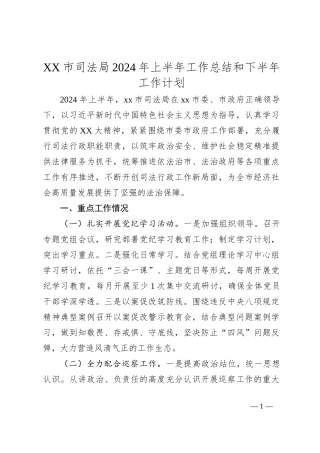 XX市司法局2024年上半年工作总结和下半年工作计划