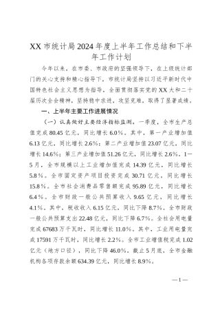 XX市统计局2024年度上半年工作总结和下半年工作计划