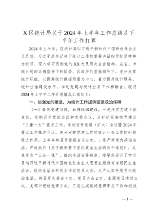 X区统计局关于2024年上半年工作总结及下半年工作打算