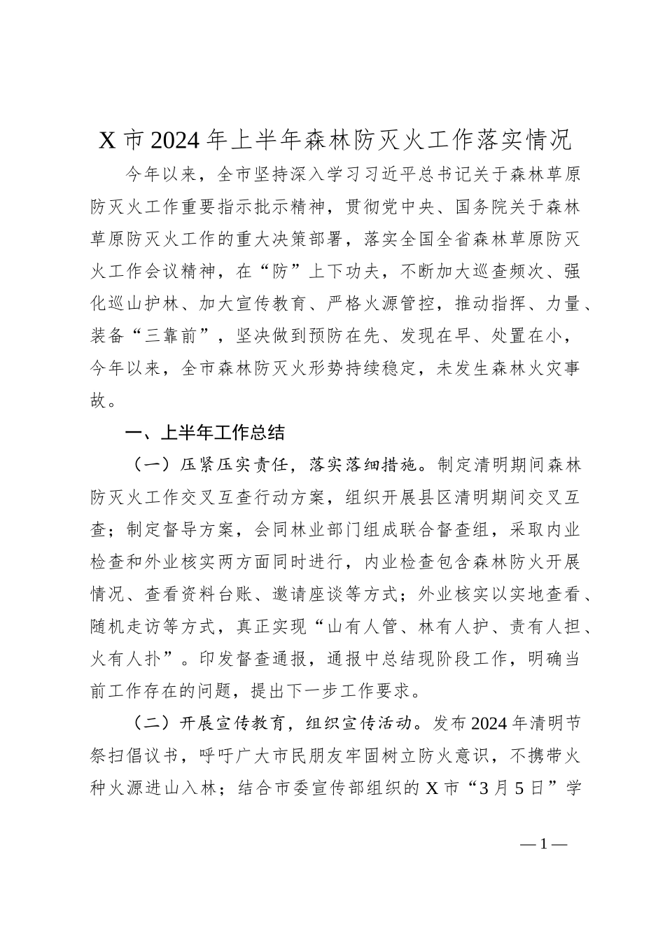 X市2024年上半年森林防灭火工作落实情况_第1页