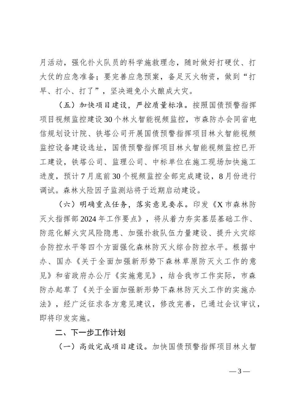 X市2024年上半年森林防灭火工作落实情况_第3页