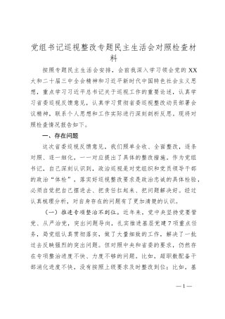 党组书记巡视整改专题民主生活会对照检查材料