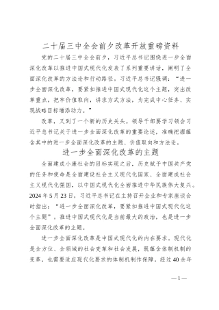 二 十届三 中全会前夕改革开放重磅资料