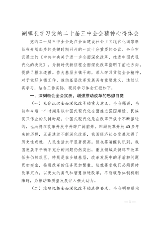 副镇长学习党的二十届三中全会精神心得体会