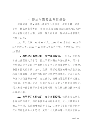 干部试用期转正考察报告