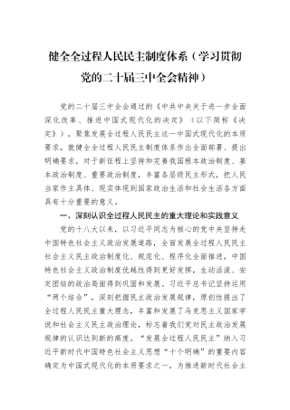 健全全过程人民民主制度体系（学习贯彻党的二十届三中全会精神）