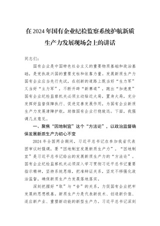 在2024年国有企业纪检监察系统护航新质生产力发展现场会上的讲话