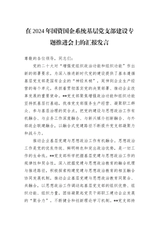 在2024年国资国企系统基层党支部建设专题推进会上的汇报发言