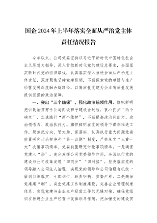 国企2024年上半年落实全面从严治党主体责任情况报告