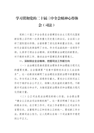 学习贯彻党的二十届三中全会精神心得体会（司法）