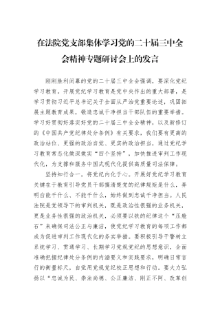 在法院党支部集体学习党的二十届三中全会精神专题研讨会上的发言
