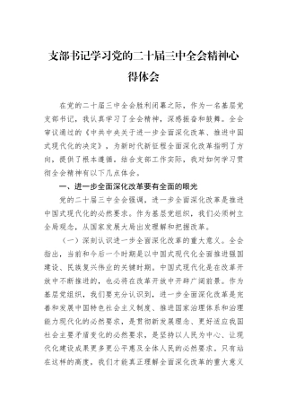 支部书记学习党的二十届三中全会精神心得体会
