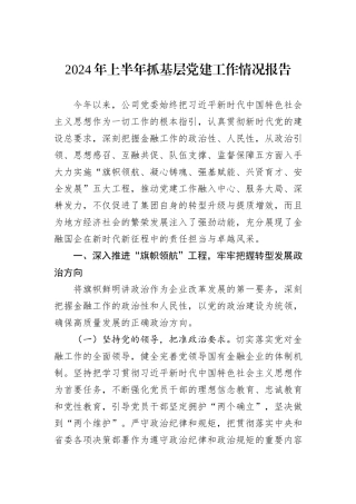 2024年上半年抓基层党建工作情况报告