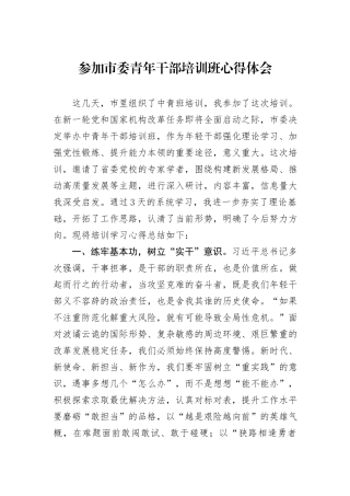 参加市委青年干部培训班心得体会