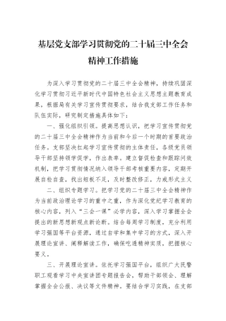 基层党支部学习贯彻党的二十届三中全会精神工作措施