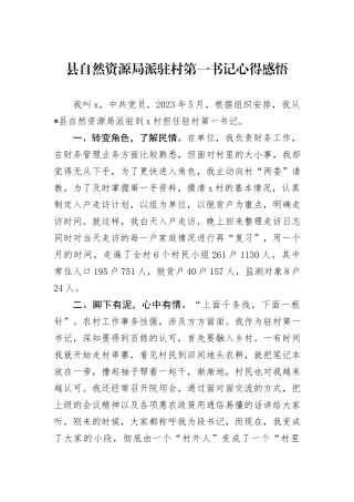 县自然资源局派驻村第一书记心得感悟