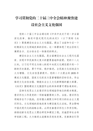 学习贯彻党的二十届三中全会精神聚焦建设社会主义文化强国
