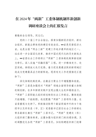 在2024年“两新”工委体制机制革新创新调研座谈会上的汇报发言